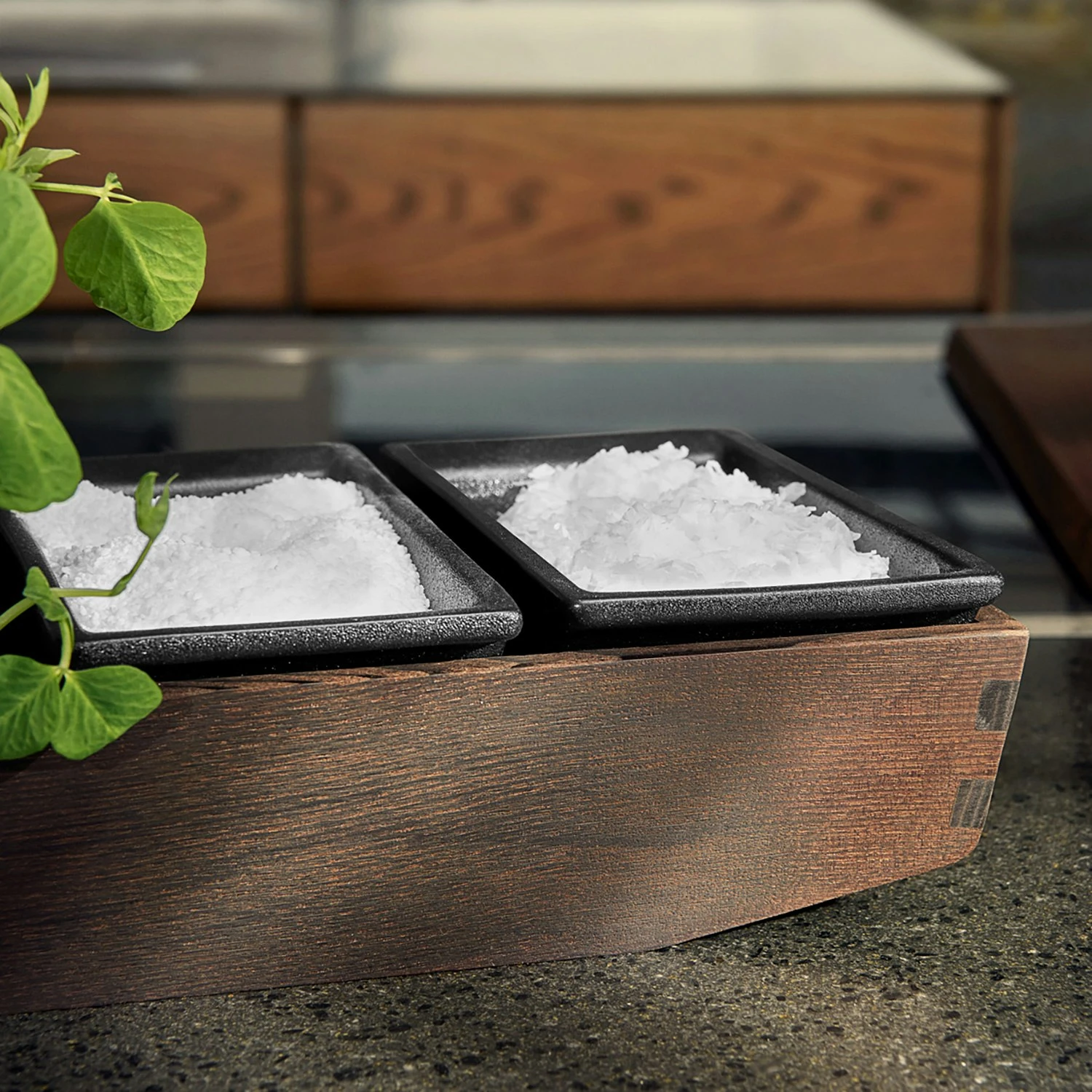 Rå Zoutkom, 19 Cm 5 Rå Zoutkom, 19 Cm - Afbeelding 3